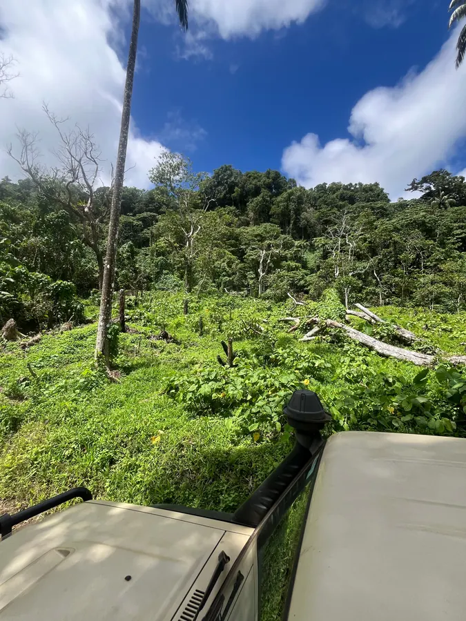 Exploring land in Fiji: a cleared field