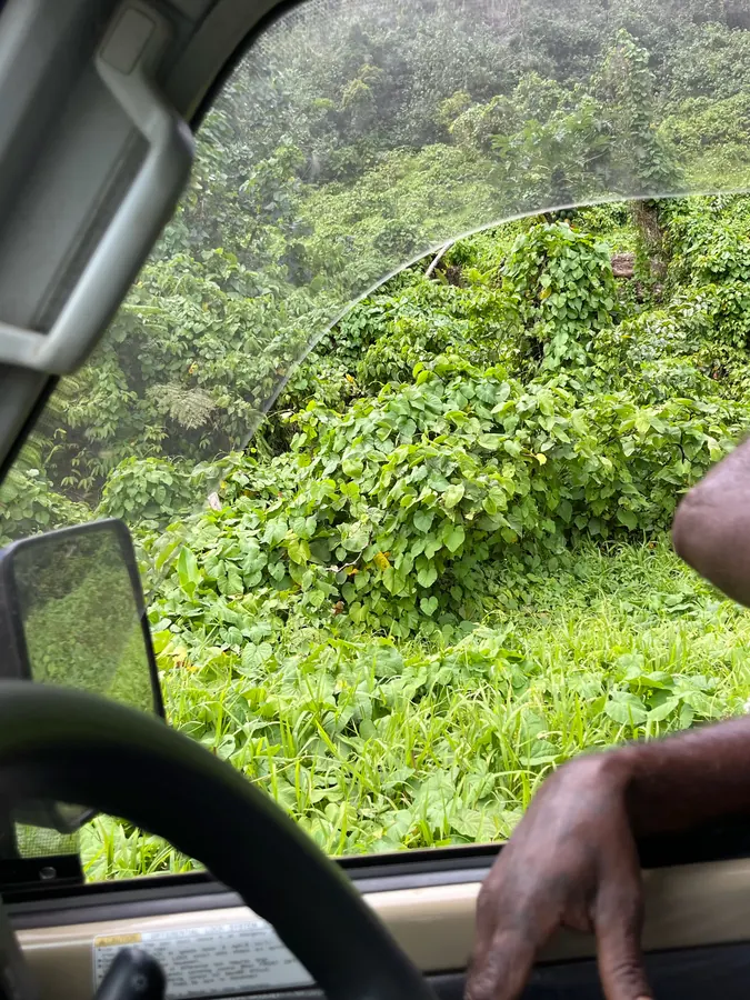 Exploring land in Fiji: the drive in